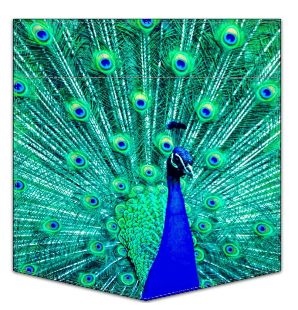 Peacock pocket